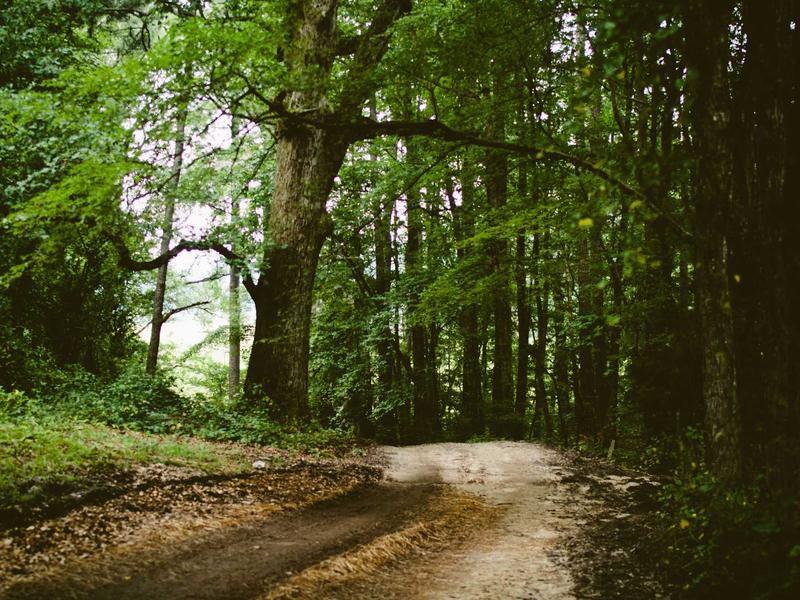 sudoku naked pairs screenshot 4