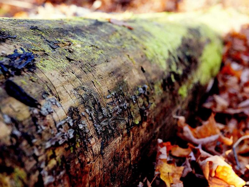 sudoku unique solution screenshot 2