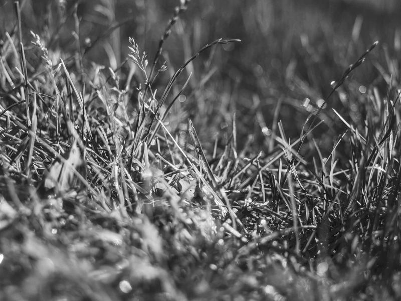 sudoku naked pairs screenshot 2